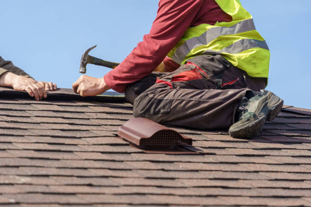 Best Gutter Installation and Roofing  in Montegut, LA