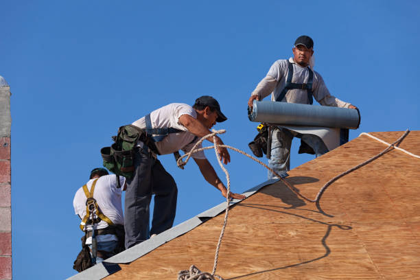 Best Roof Restoration Services  in Montegut, LA