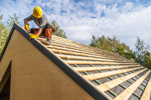 Best Roof Maintenance Services  in Montegut, LA