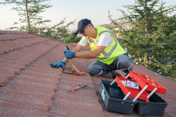 Best Roof Repair Specialists  in Montegut, LA