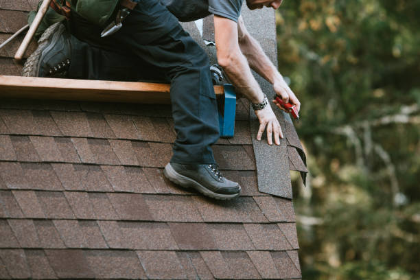 Best Storm Damage Roof Repair  in Montegut, LA